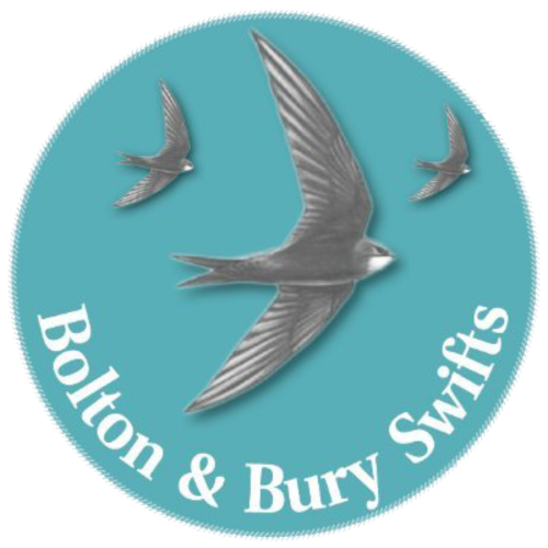 Bolton-&-Bury-Swifts
